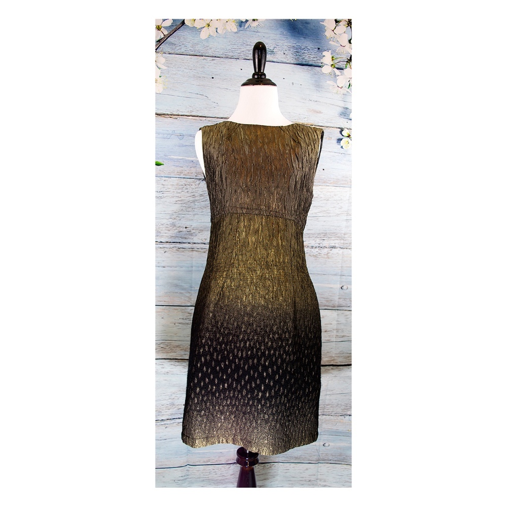 Earl Rutenberg Dress